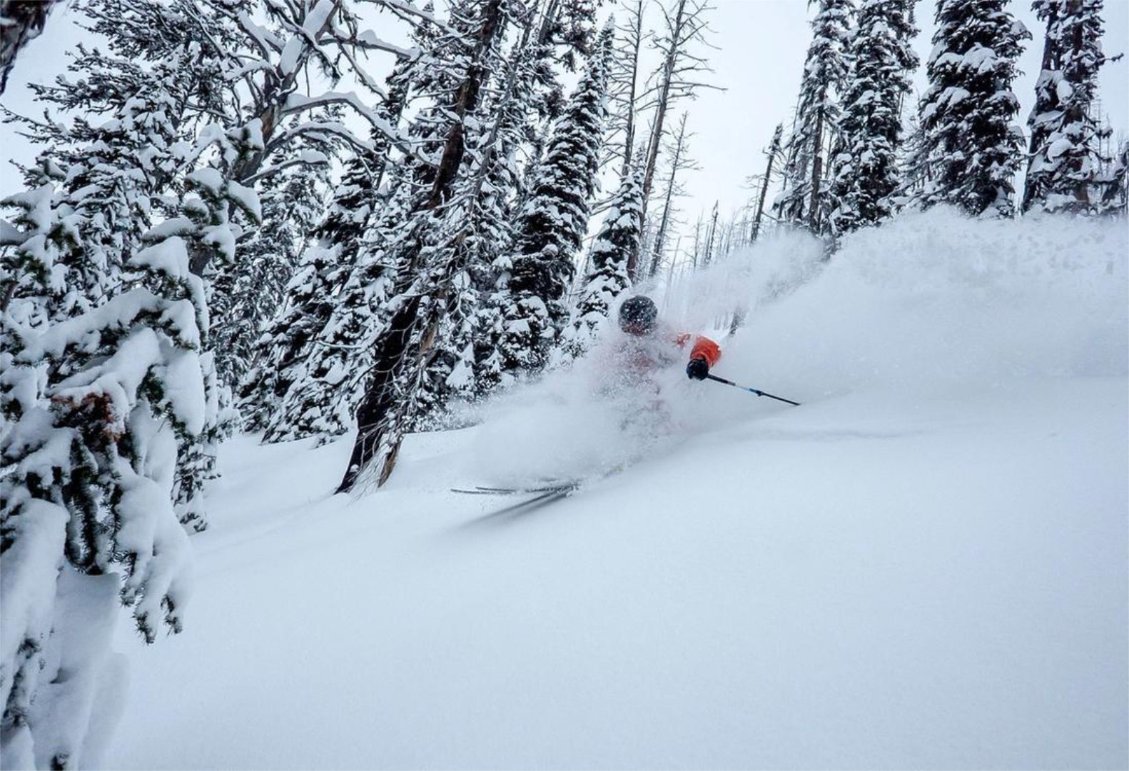 CMH Heliskiing Erfahrung Galena Terrain