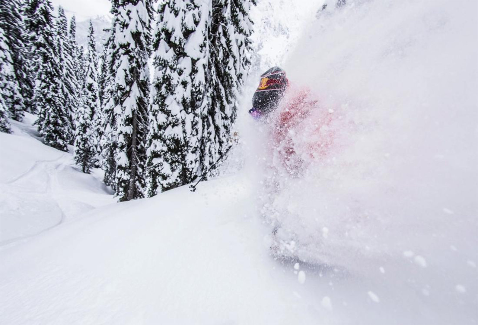 CMH Heliskiing Erfahrung Monashees Terrain